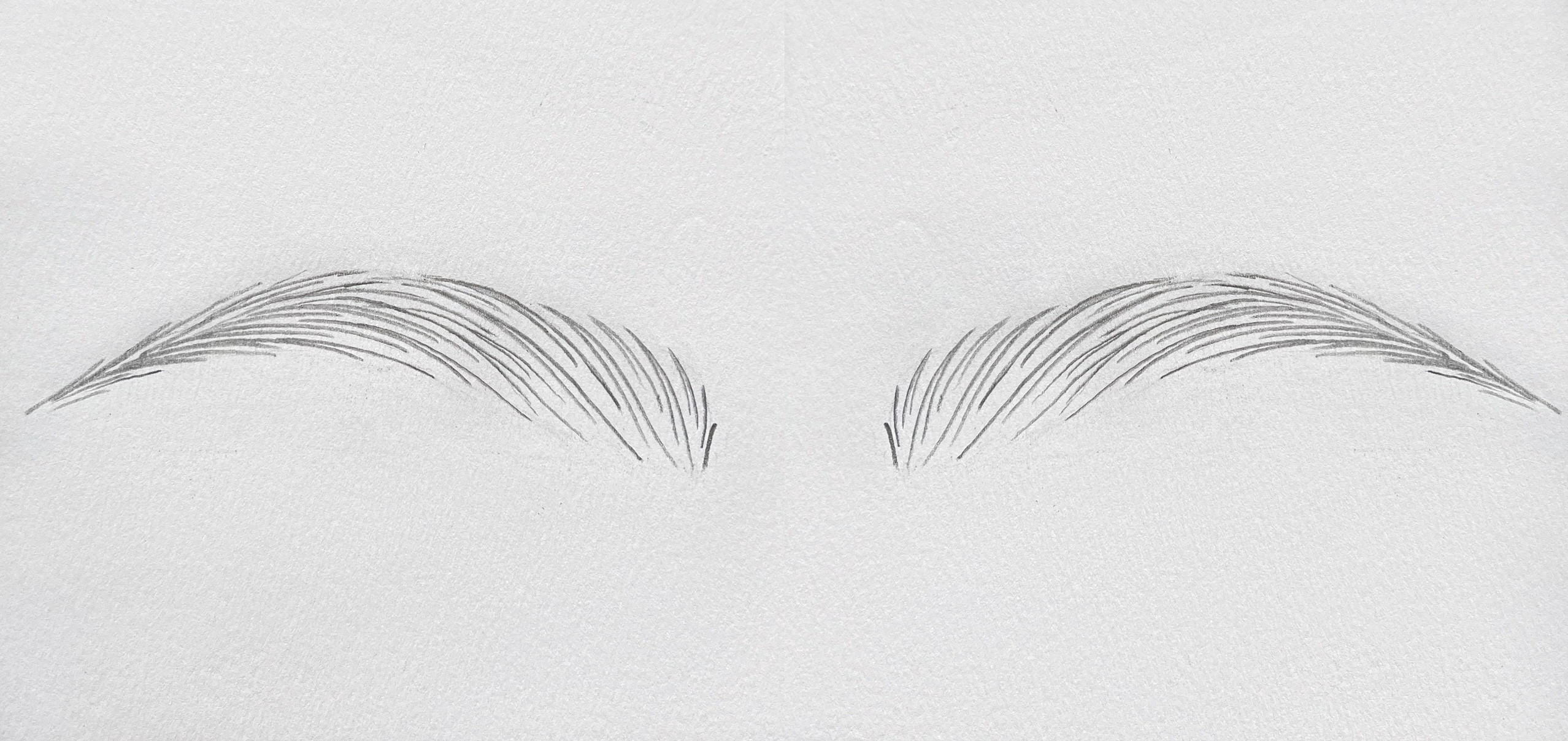 Håndtegnet illustration af microblading-bryn med fine hårstrå